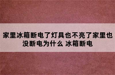 家里冰箱断电了灯具也不亮了家里也没断电为什么 冰箱断电